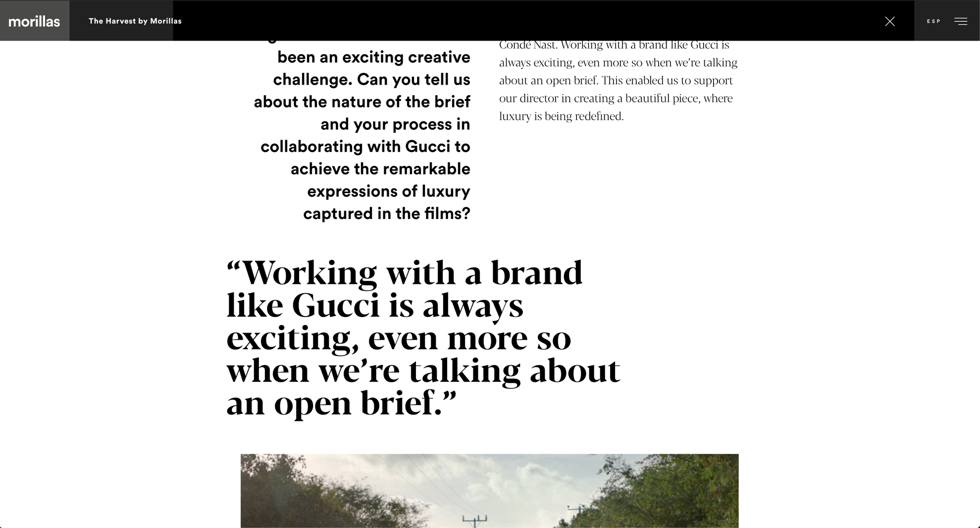 The Harvest: a composed long-form article (Gucci interview).